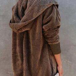 Cozy Up Hooded Teddy Jacket -Bezier shop 81QJOzu08XL. AC SY879. SX. UX. SY. UY 1