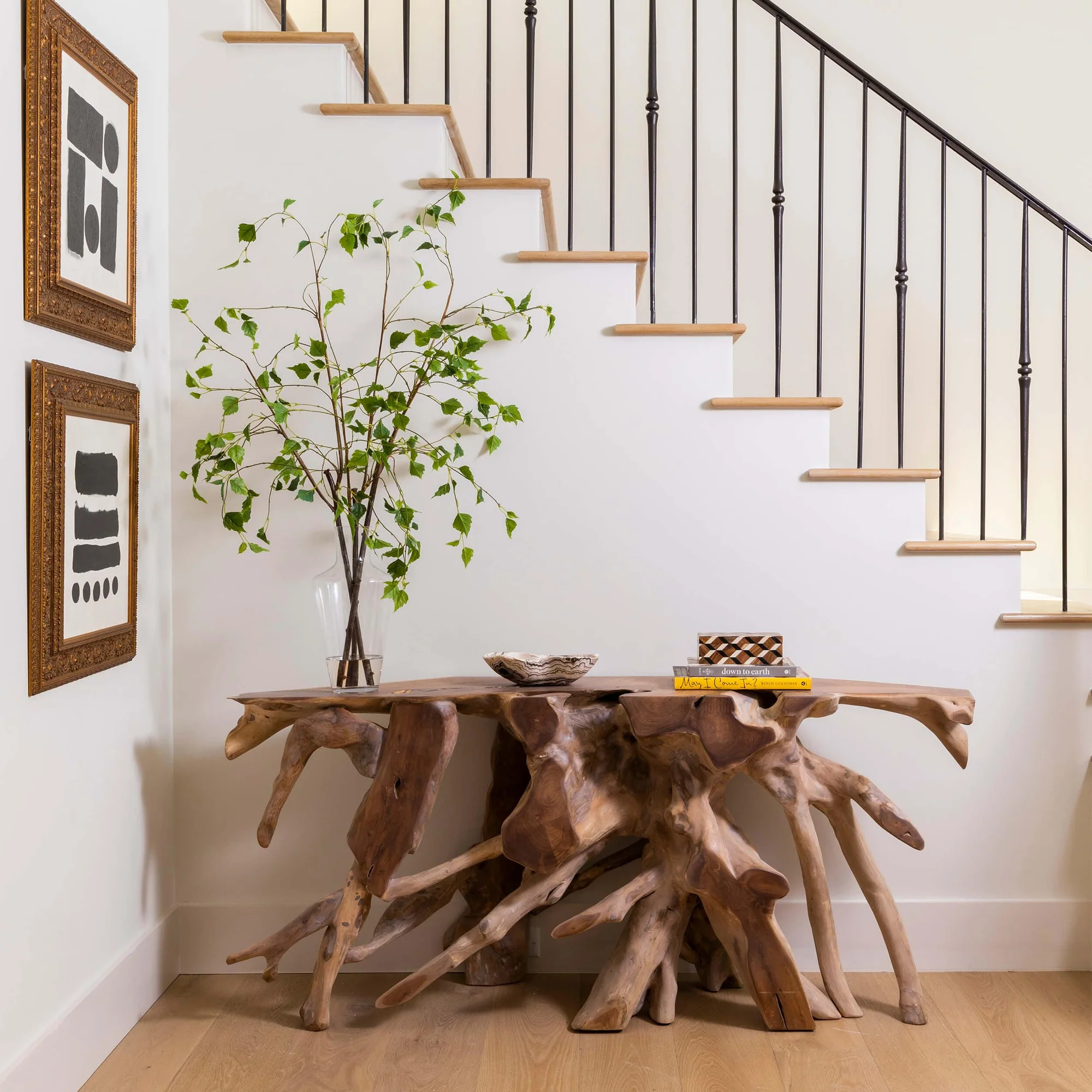 Bezier shop -Bezier shop b4